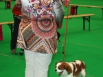 dogshow_2a