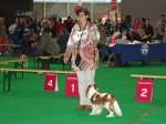 dogshow_3a
