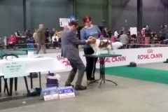 Eurodogshow 2015