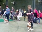 eurodogshow_2