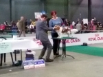 eurodogshow_6