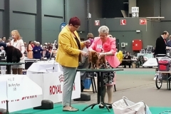 Eurodogshow 2016